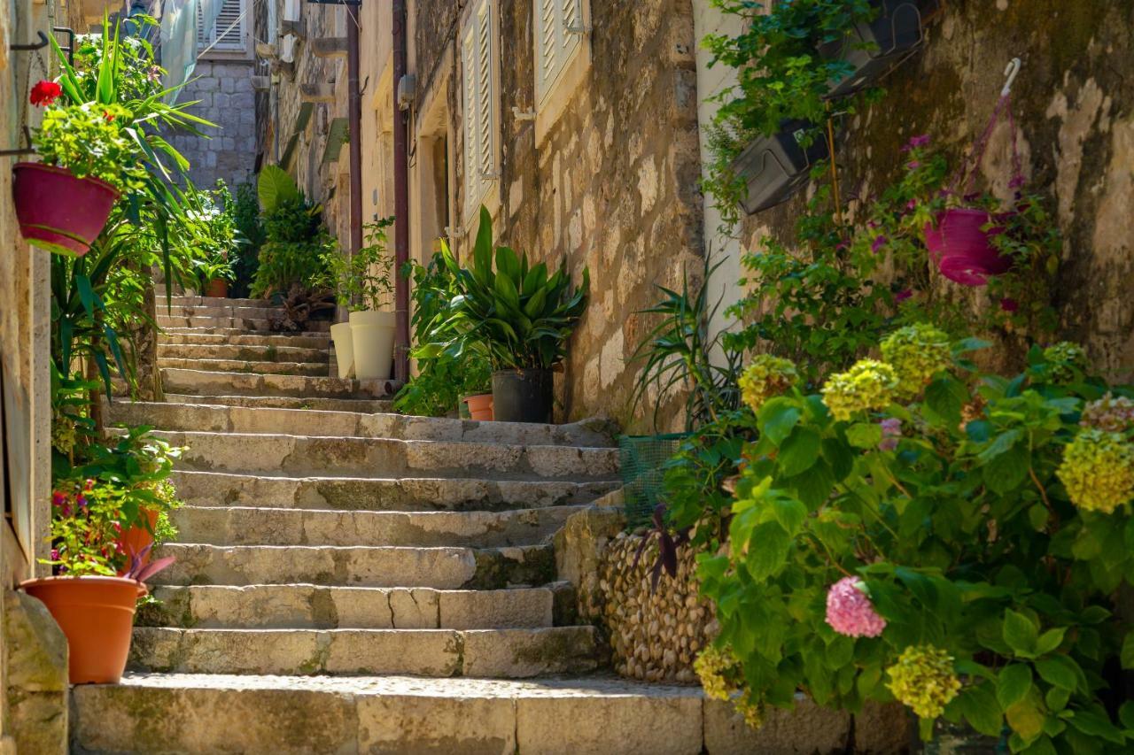 Old Town House With Floor Heating & Lush Private Garden Villa Dubrovnik Exterior photo